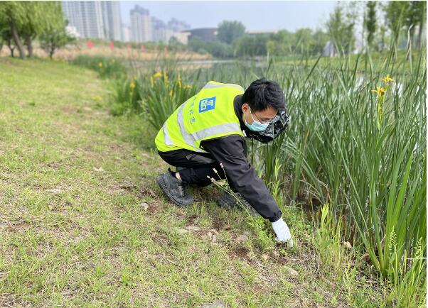 筑牢疫情防控|东方今典·境界二期开展景区卫生 大扫除活动