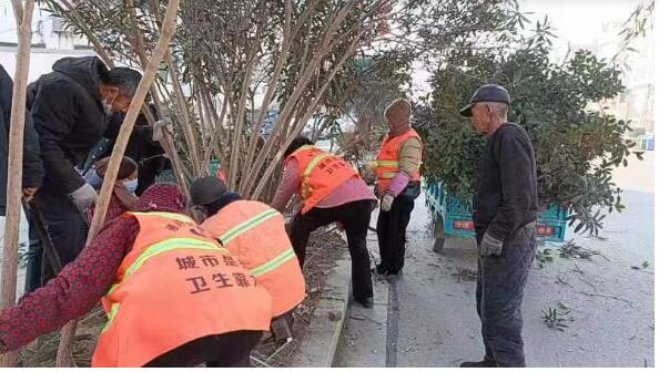 开封通许县:园林工人与大自然的和谐交响曲