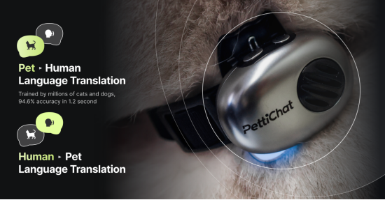 ����AI�������£�Pettichat��ź����Ͷ������Ͷ��100��������ʹ������