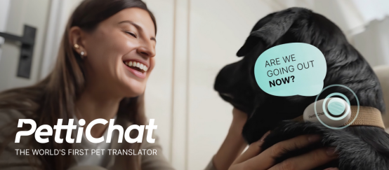 ����AI�������£�Pettichat��ź����Ͷ������Ͷ��100��������ʹ������